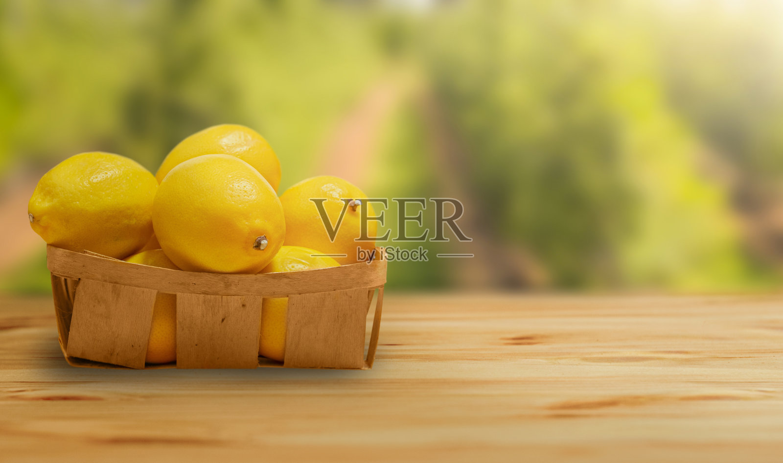 柠檬放在木桌上。果园在背景中照片摄影图片