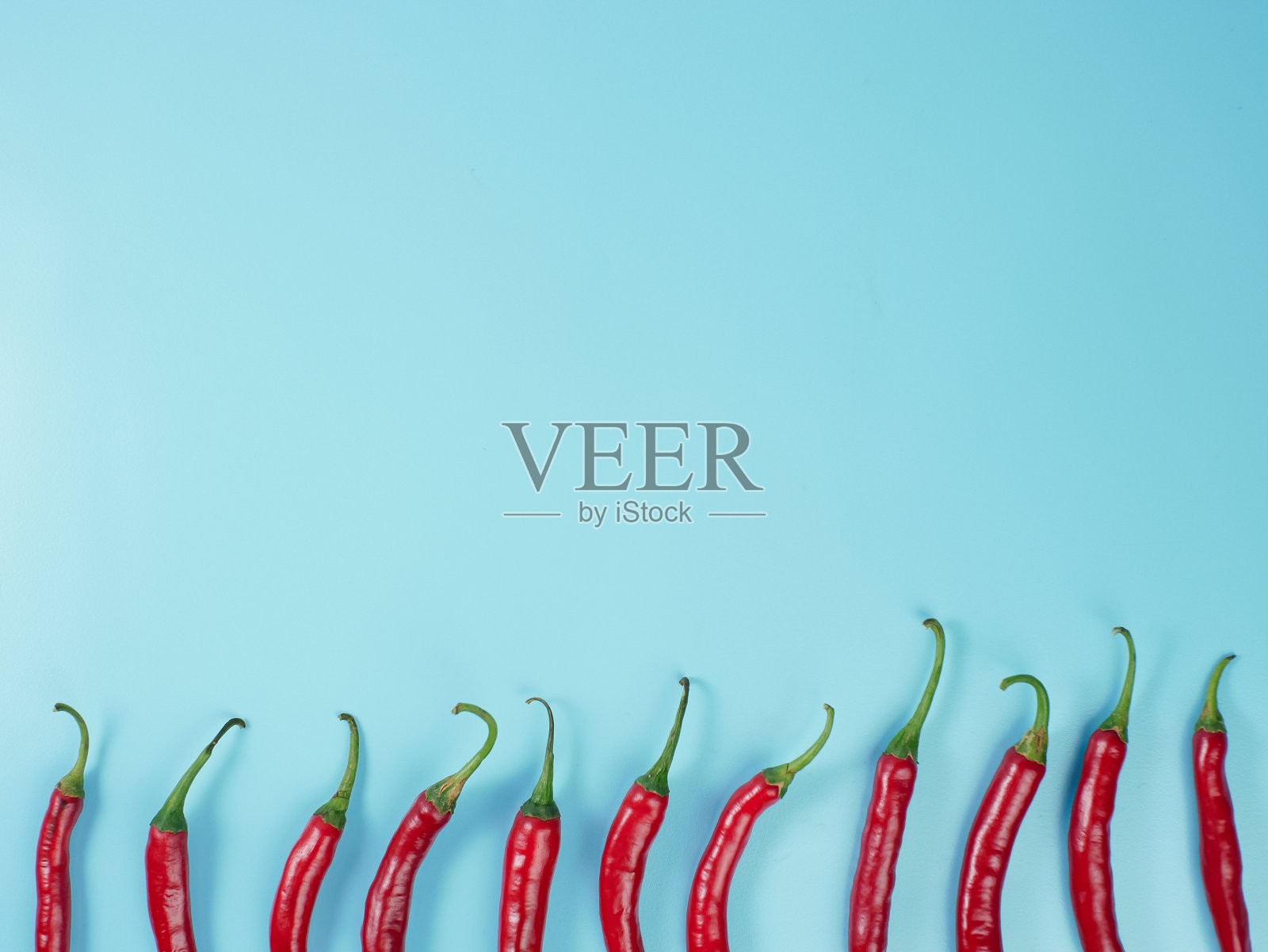 在蓝色背景上孤立的辣椒。红辣椒是亚洲和墨西哥菜肴和香料的一种成分照片摄影图片