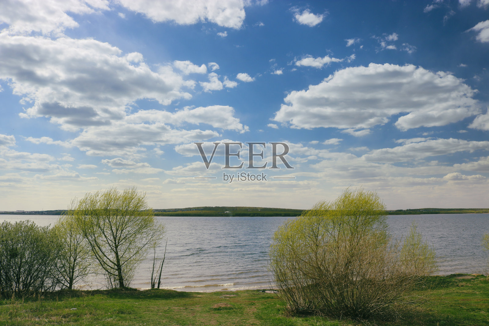 春天的风景-柳树上的嫩叶映衬着清澈的湖泊和蓝天白云。田园景象。照片摄影图片