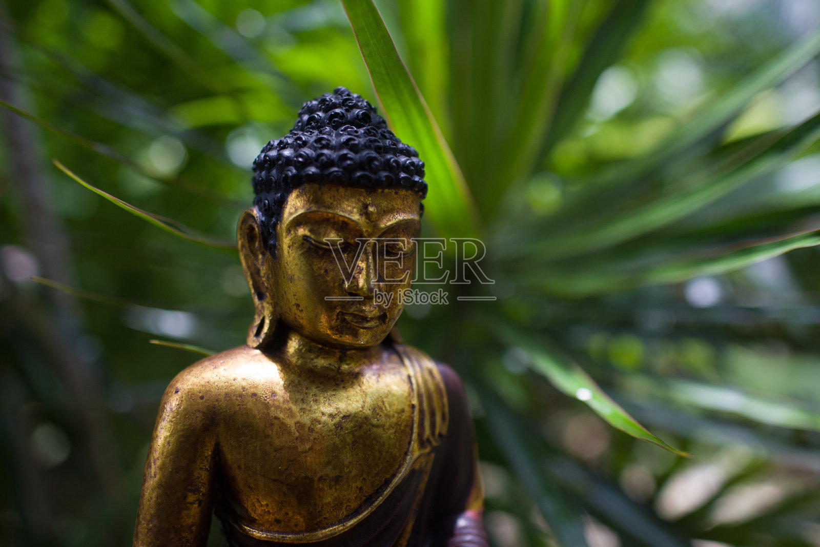 冥想佛像冥想佛像丛林背景照片摄影图片