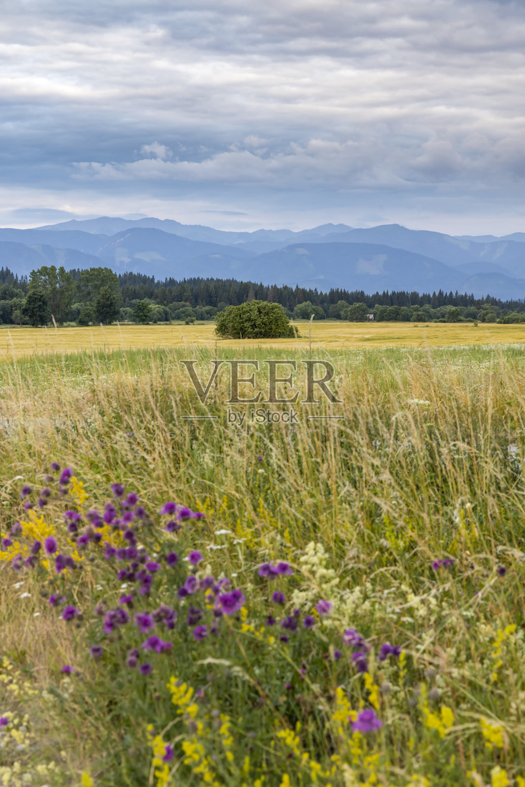 斯洛伐克下塔特拉山照片摄影图片