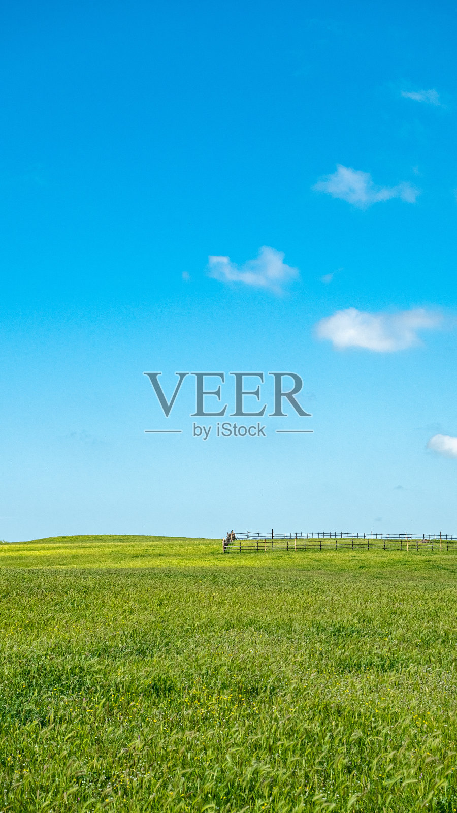 麦田里的篱笆照片摄影图片