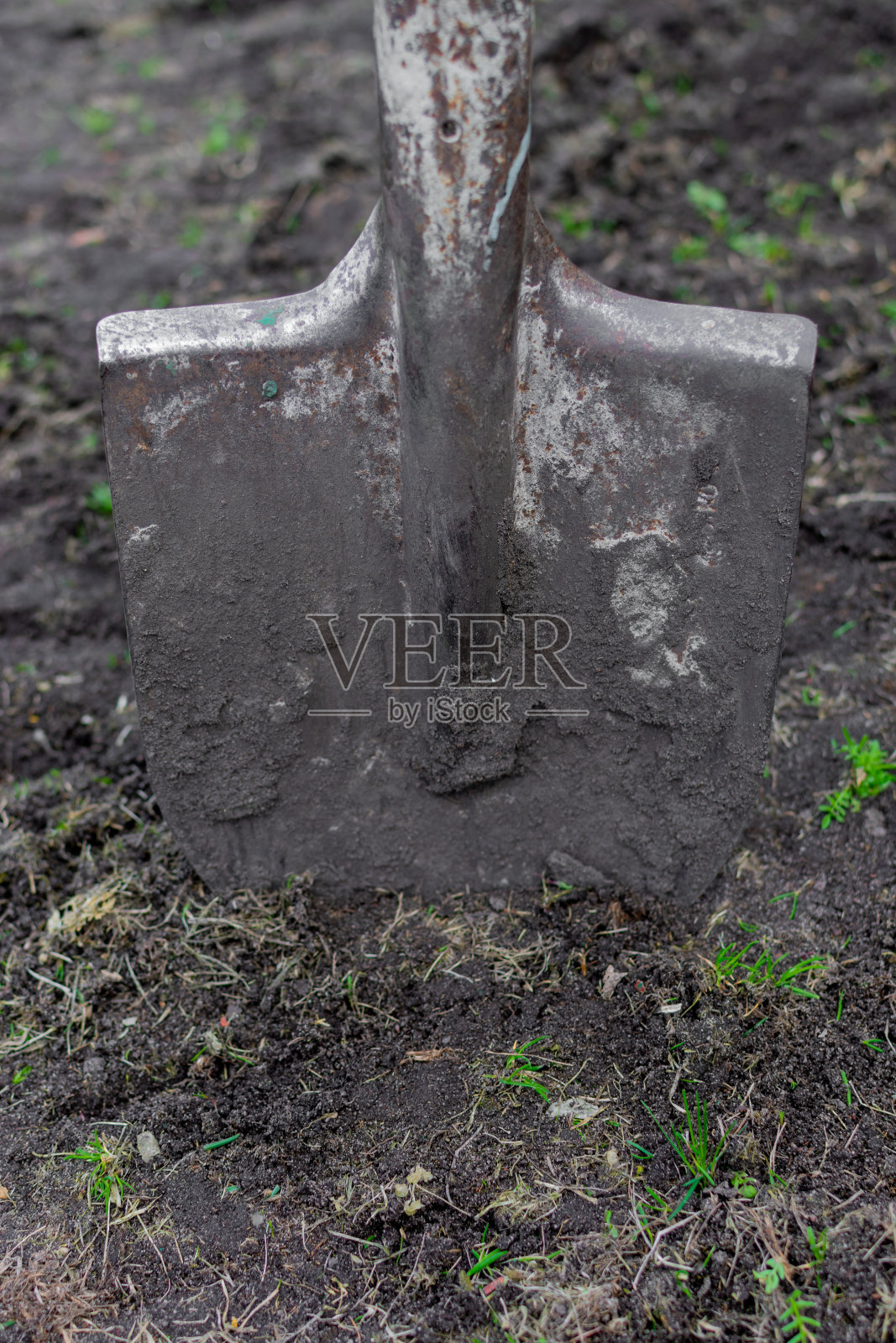 黑土背景下的铁锹照片摄影图片