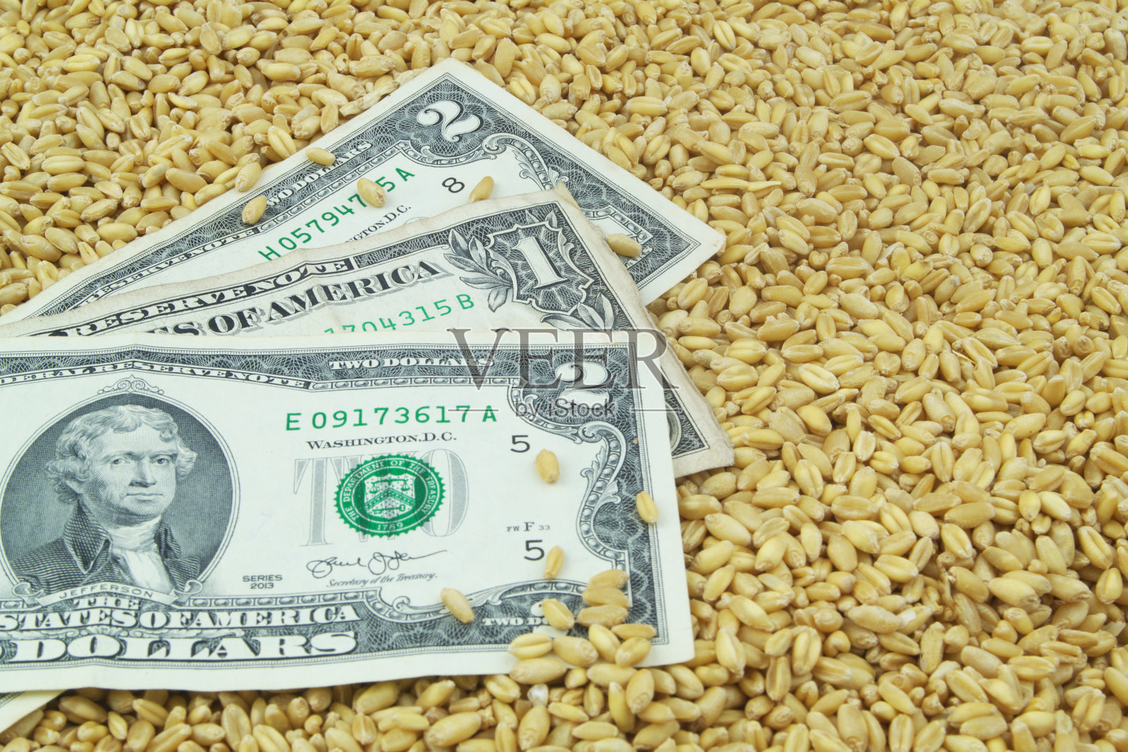 钱在小麦谷物的背景。照片摄影图片