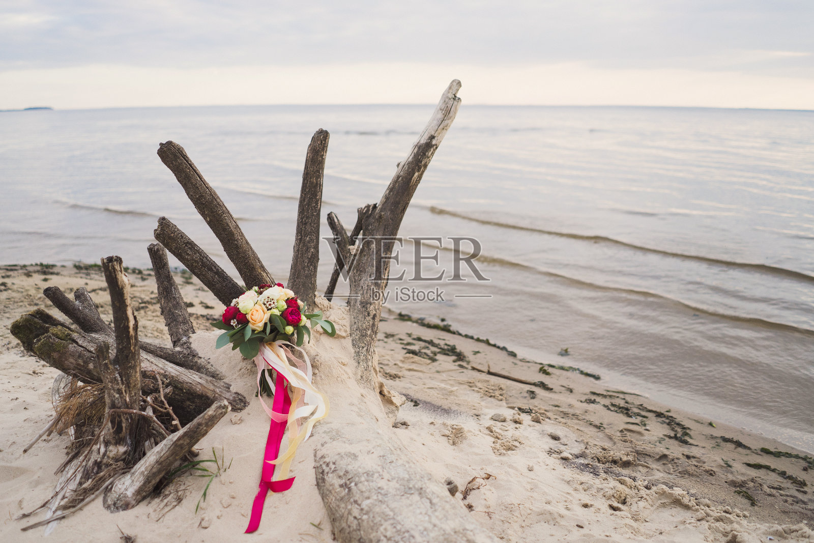 河边沙地上的一棵倒下的树上，散落着红玫瑰和米色玫瑰的花束和带着丝带的桉树。照片摄影图片