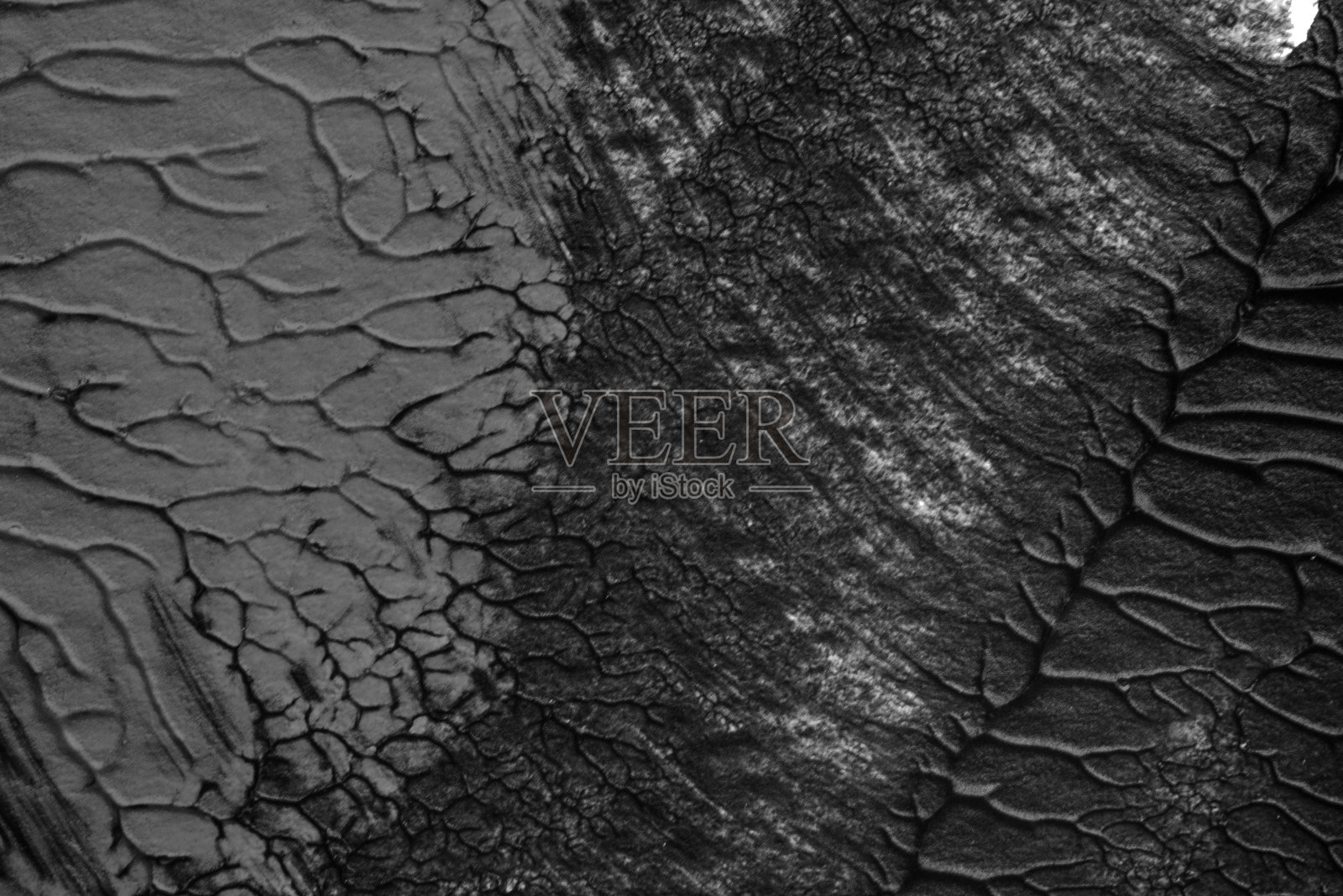 蓝、紫、红、黄抽象丙烯画在白纸底色上运用罗夏墨迹法绘制颜色纹理照片摄影图片