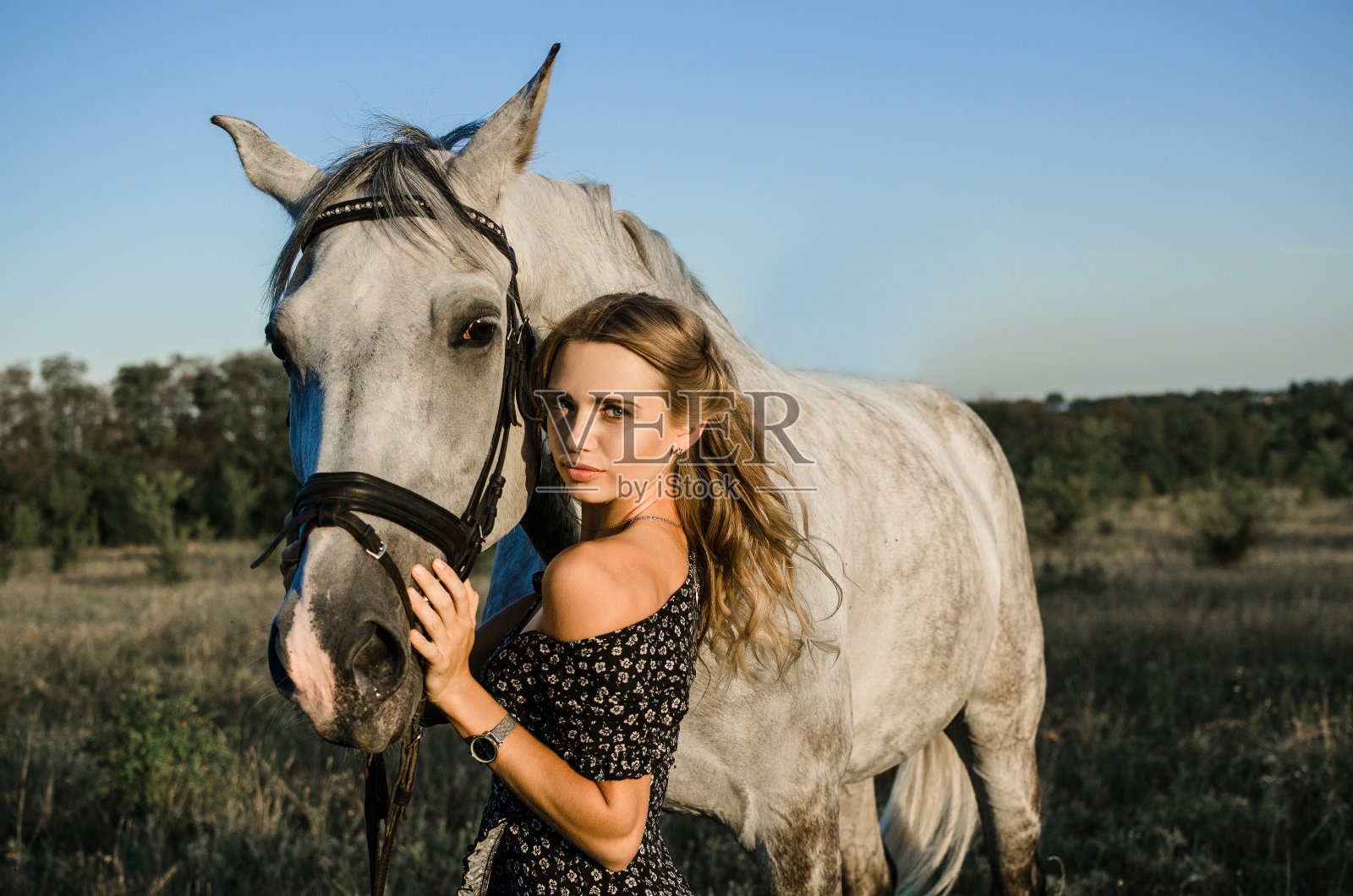 一个美丽的年轻金发女子的肖像，穿着裙子与一匹白马在夏天的田野特写。照片摄影图片