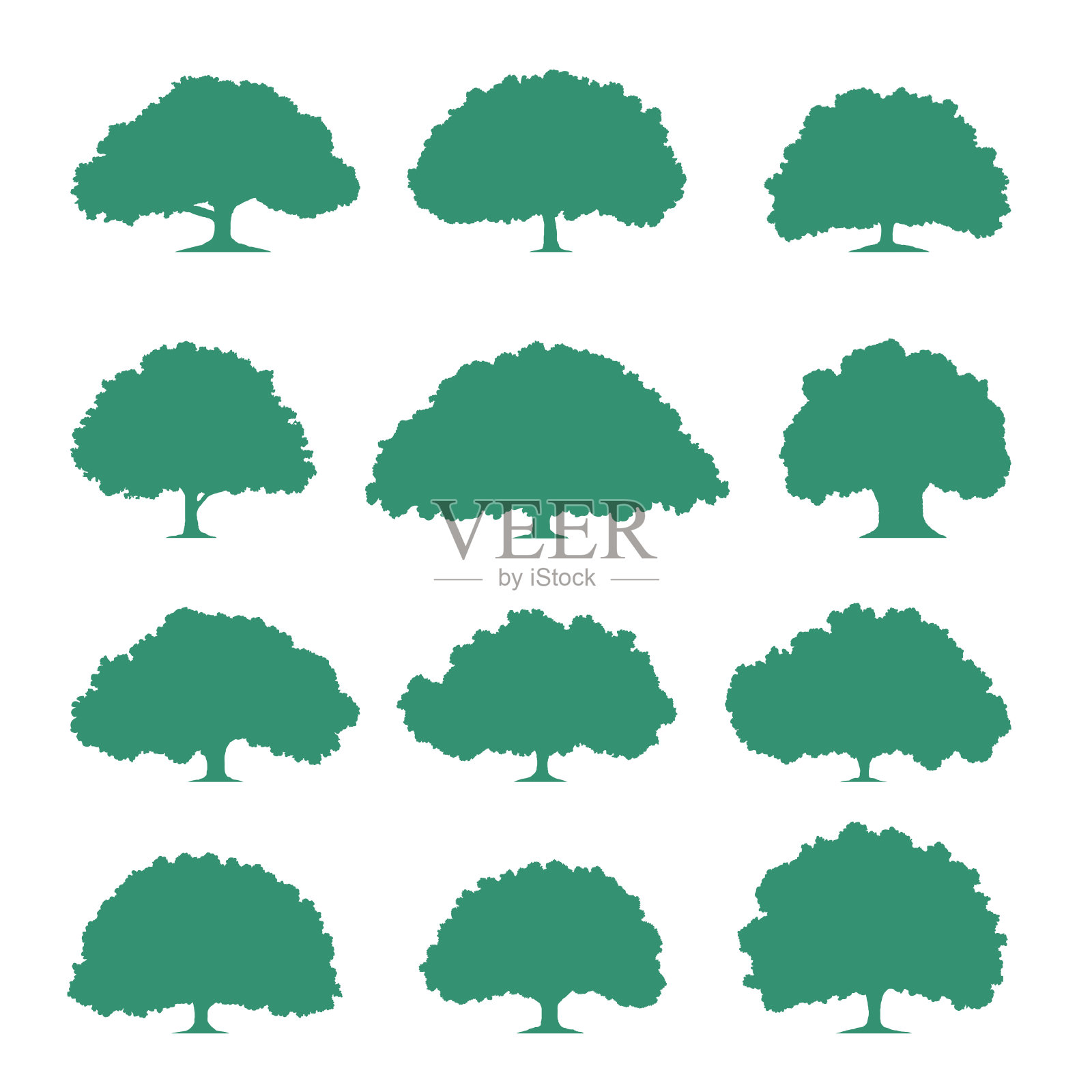 郁郁葱葱的树冠插画图片素材