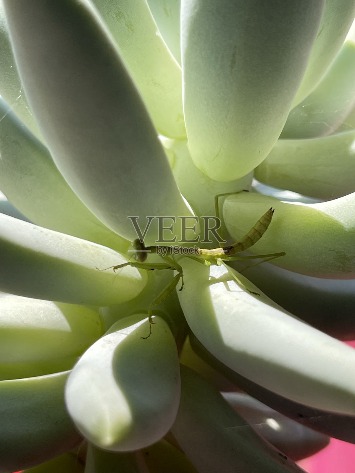 生活的点滴照片摄影图片