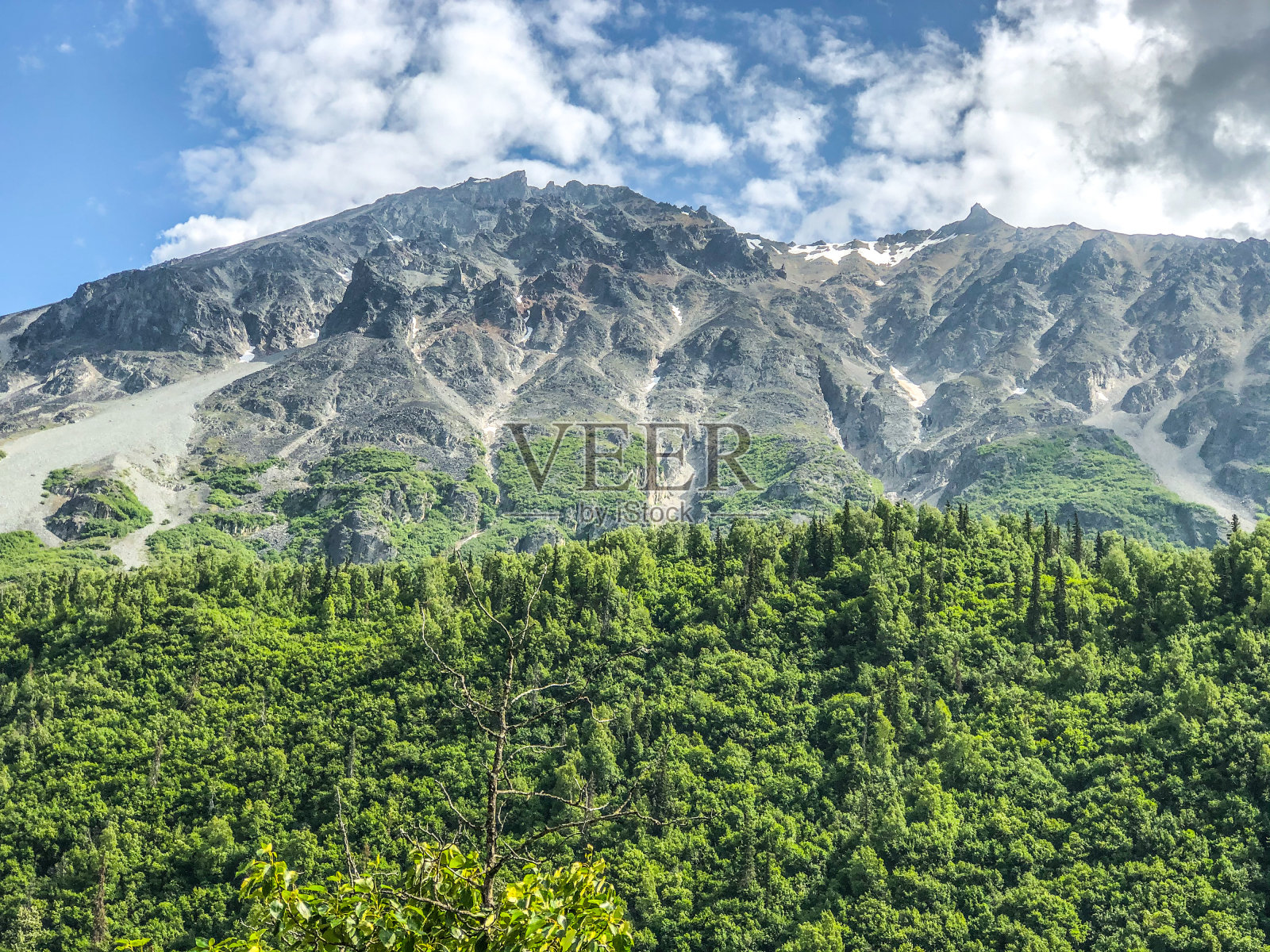 春天的阿拉斯加山脉照片摄影图片
