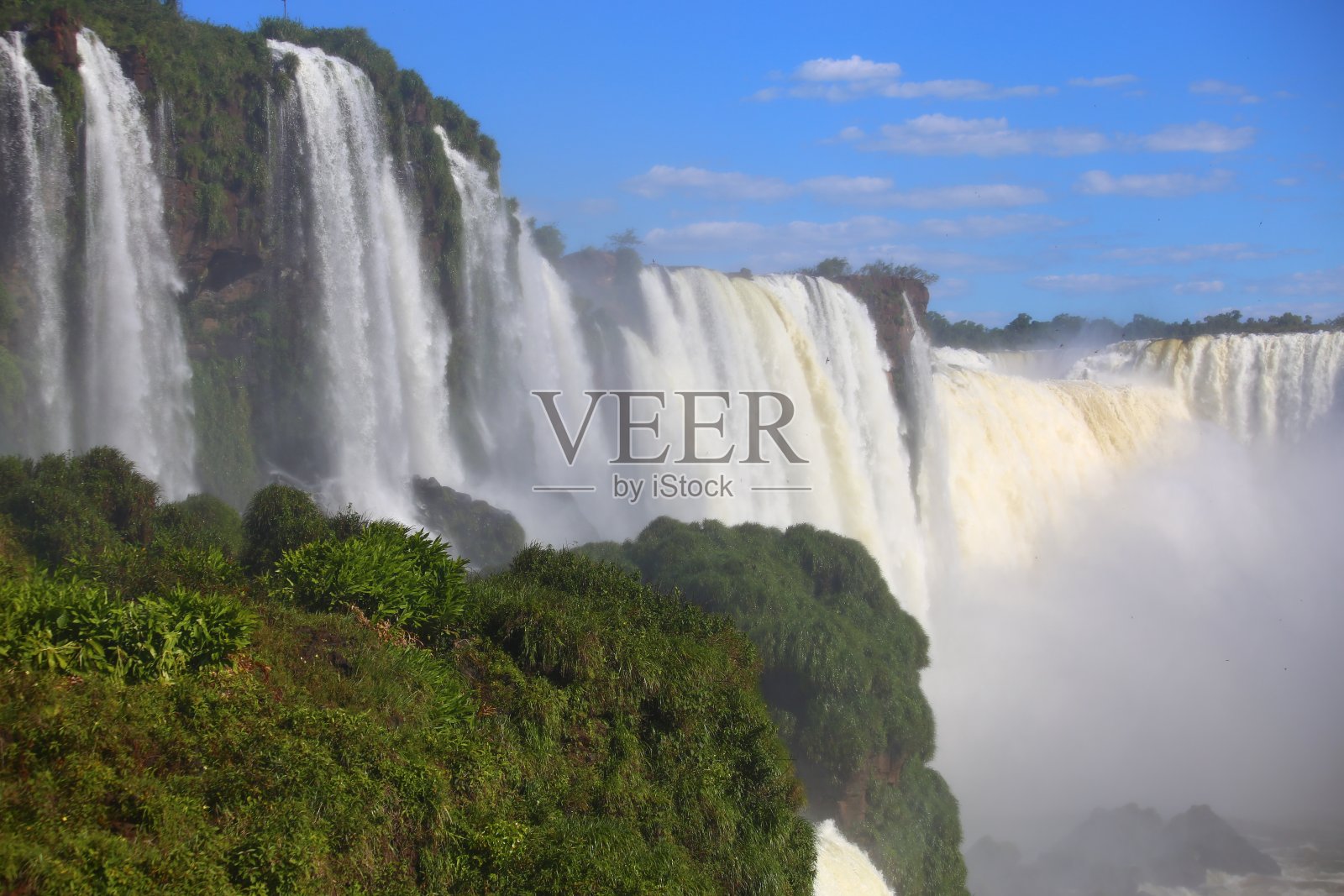 巴西伊瓜苏瀑布前的绿色植被照片摄影图片