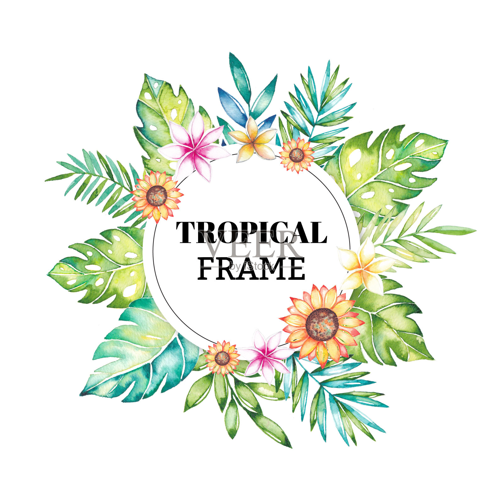 水彩热带花卉框架设计元素图片