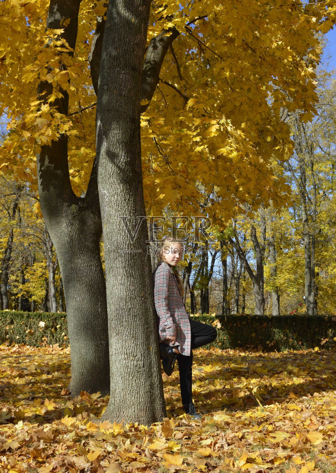 美丽的女孩穿着格子呢外套，在秋天的公园里的黄色落叶中照片摄影图片