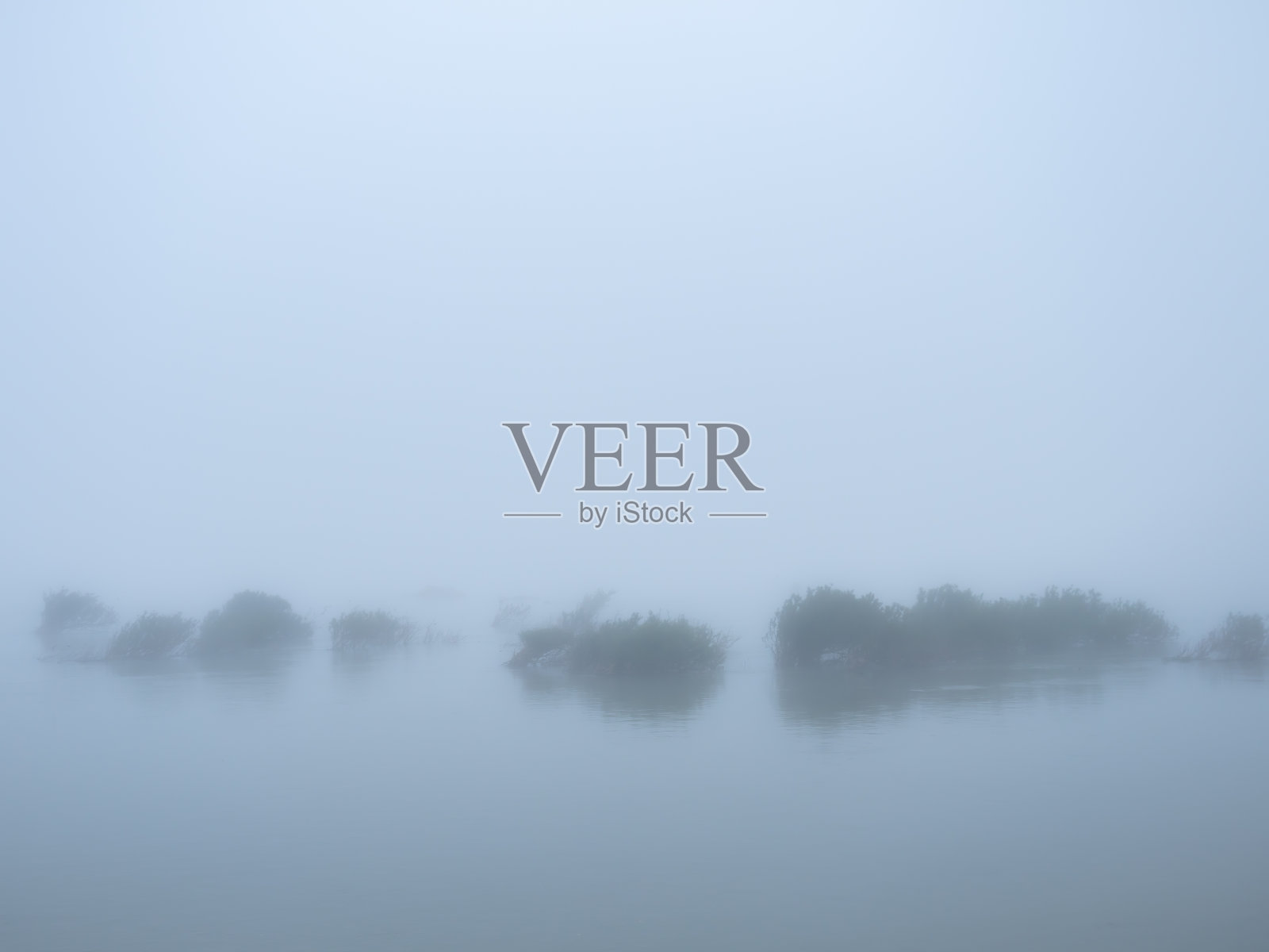 几棵树漂浮在河上大雾照片摄影图片