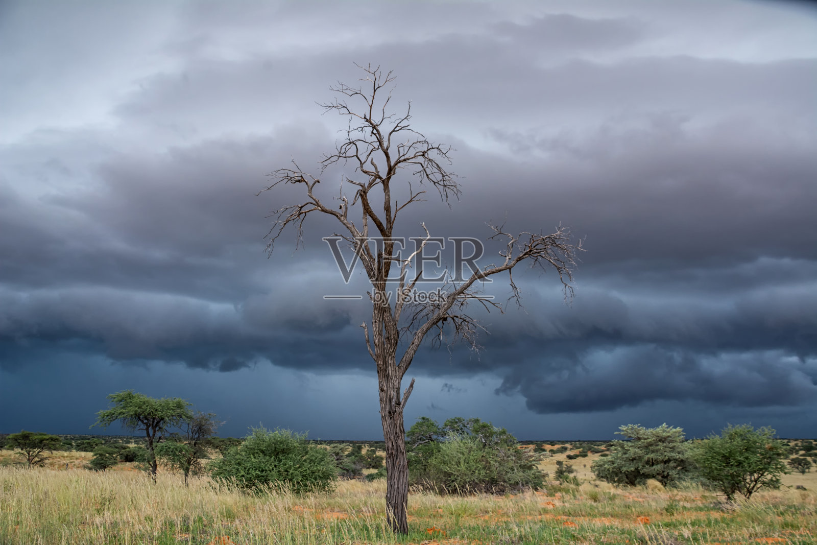 Stormclouds卡拉哈里照片摄影图片