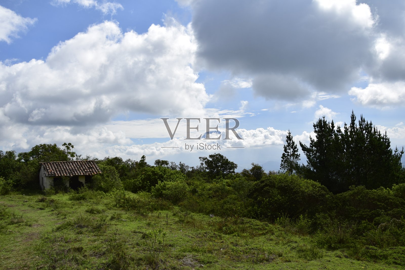 科塔卡奇火山火山口斜坡上的绿草。照片摄影图片