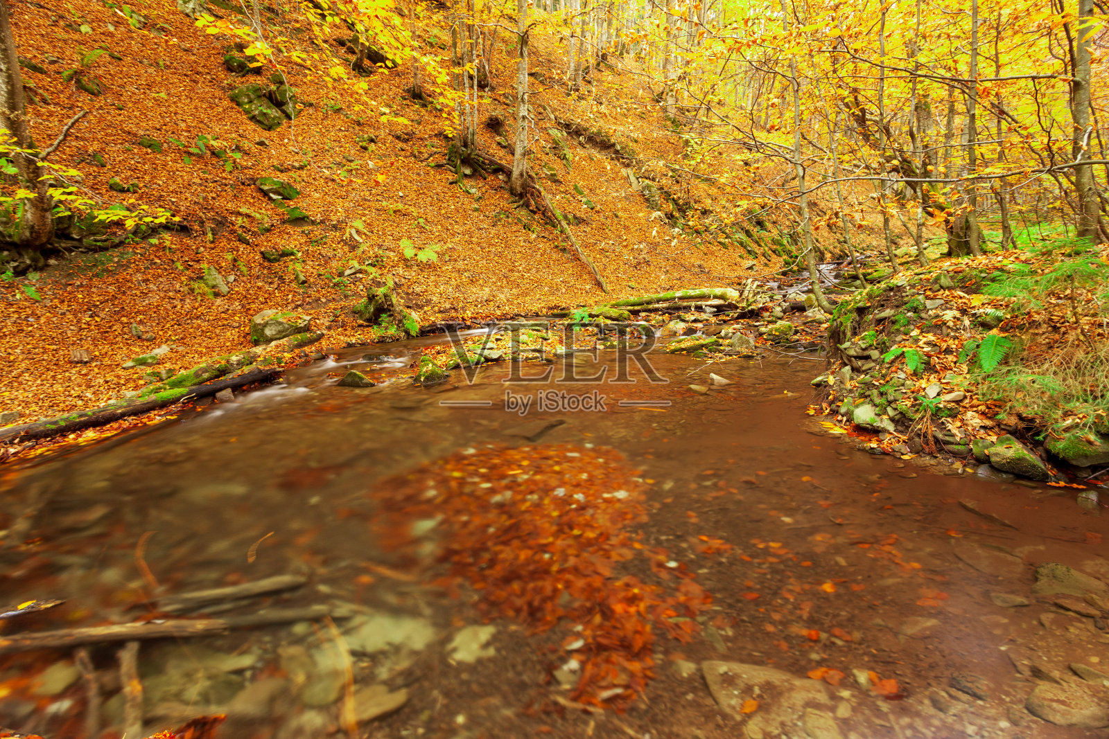 Ukpaine。瀑布在长满青苔的岩石之间。日落时分，喀尔巴阡山脉秋天的森林里，一条山河上的急流，美丽的风景。西皮特卡帕国家公园的银溪。Pilipets。照片摄影图片