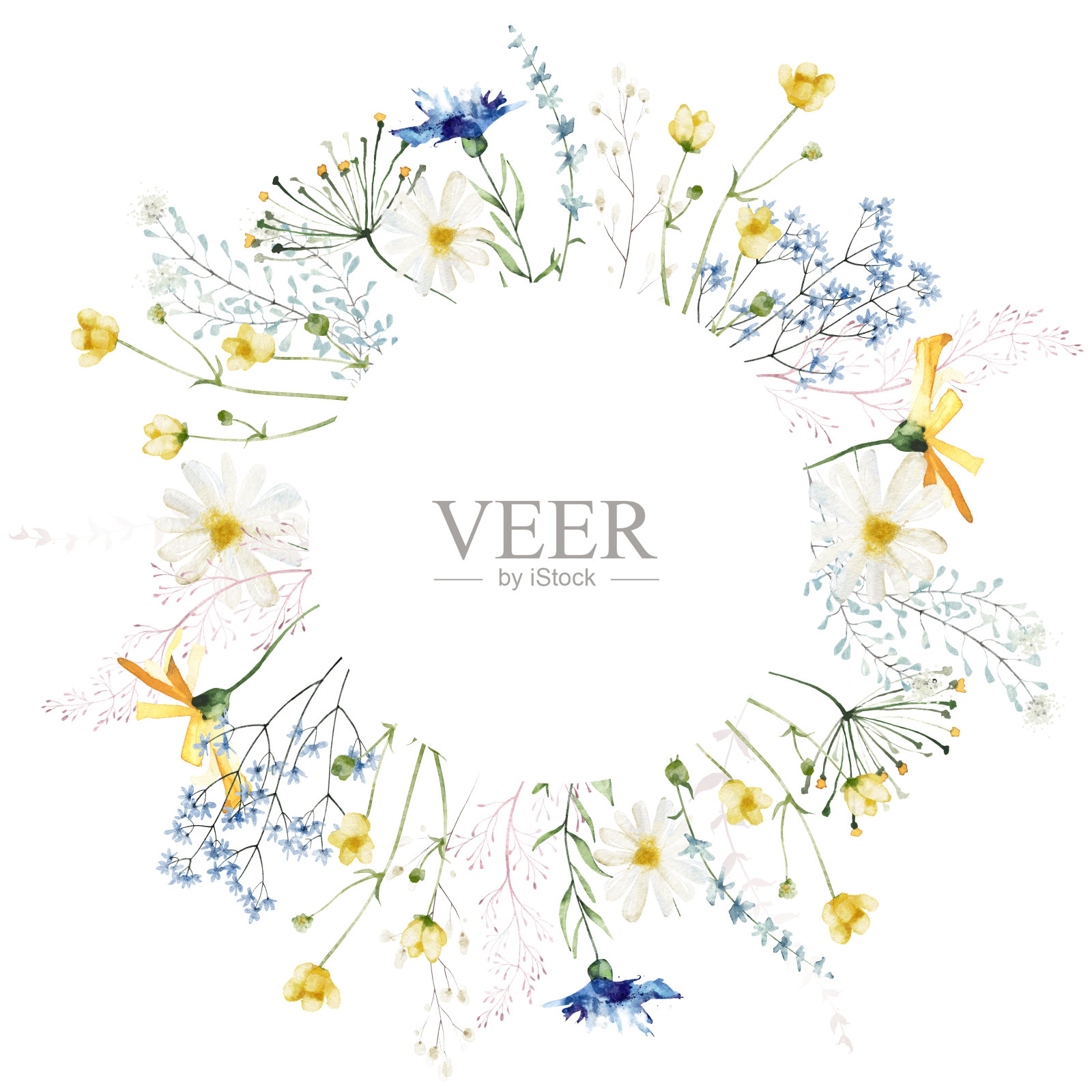 水彩画花圆框架上的白色背景。蓝色和黄色的野花，树枝，树叶和嫩枝。插画图片素材
