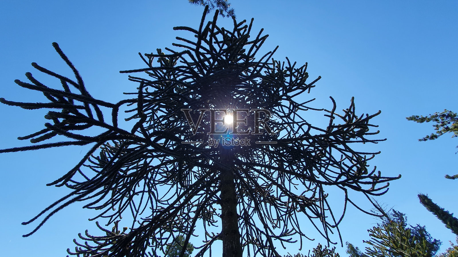 洛桑的美景照片摄影图片