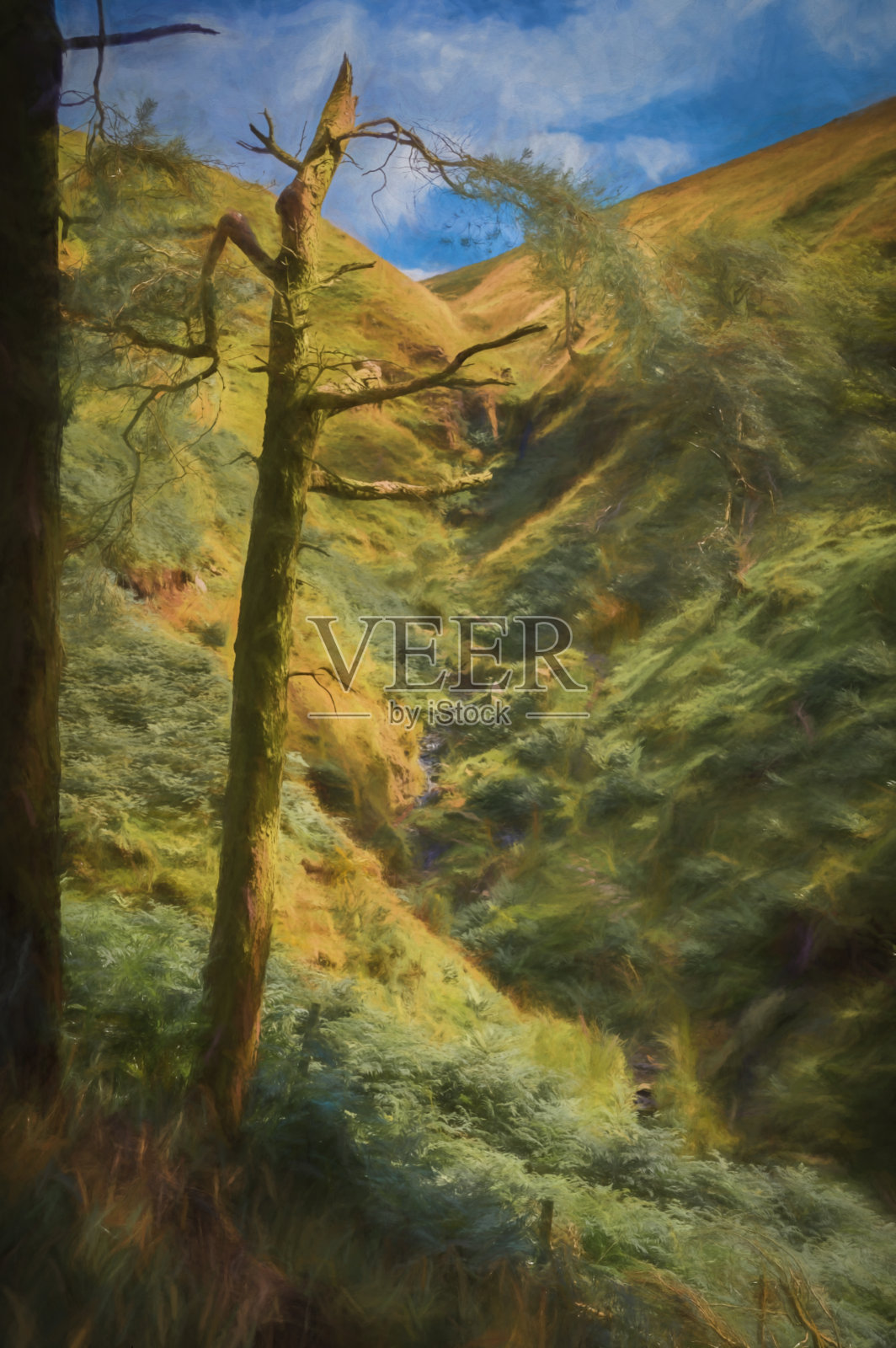 一幅受损松树的数码画与山顶区的一个小瀑布形成了框架。照片摄影图片