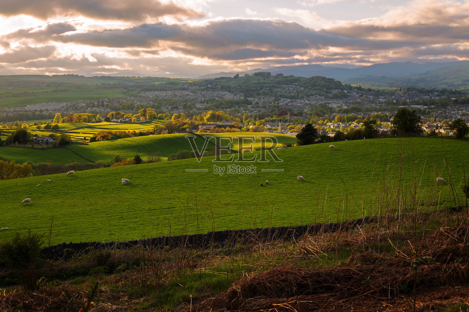 英国的山和羊在日落照片摄影图片