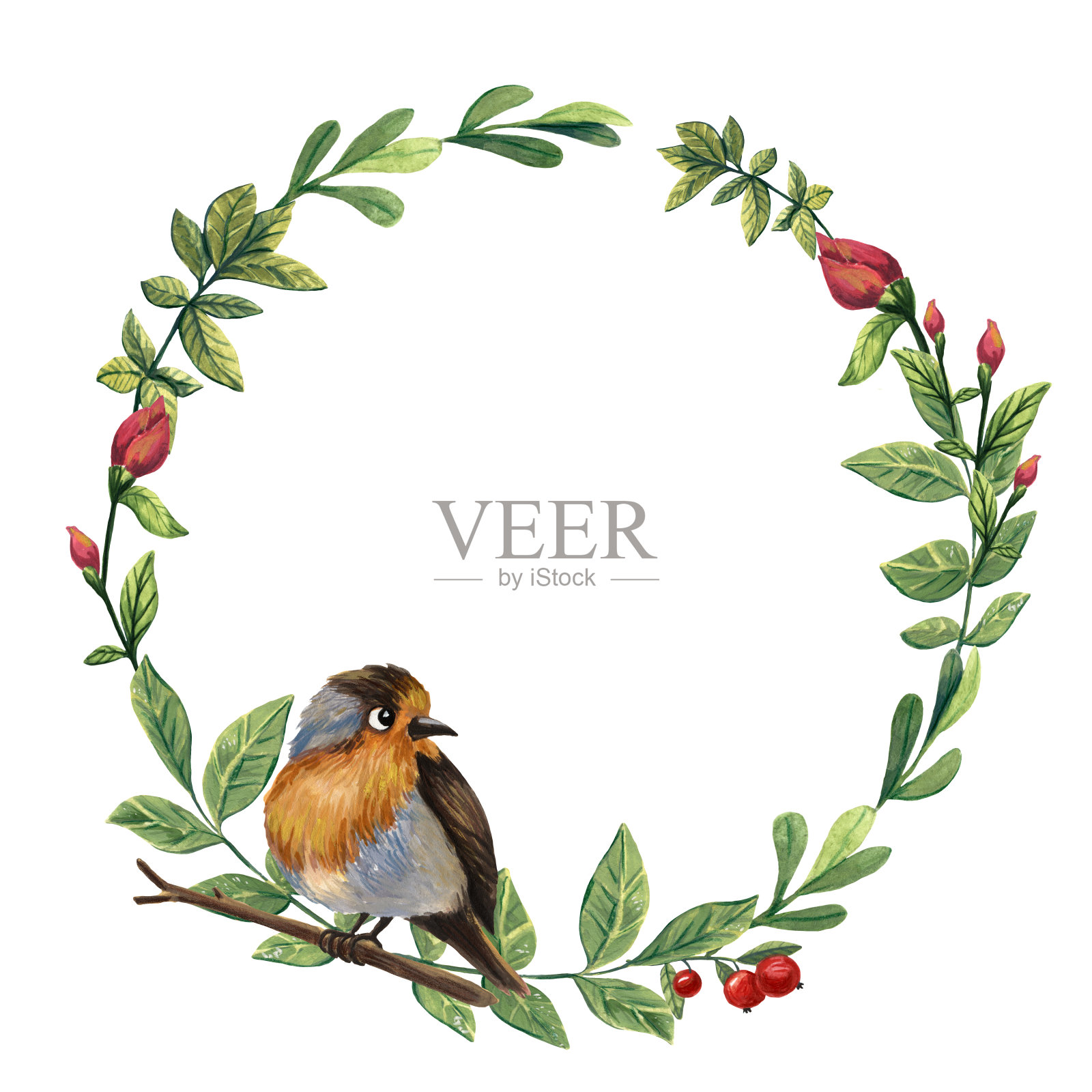可爱的罗宾插图。花环。鸟的艺术。卡通风格。水粉颜料绘画。欧洲罗宾肖像。冬天的装饰。邀请框架。节日问候。Ornitology艺术。Birdwatchig爱好。设计元素图片
