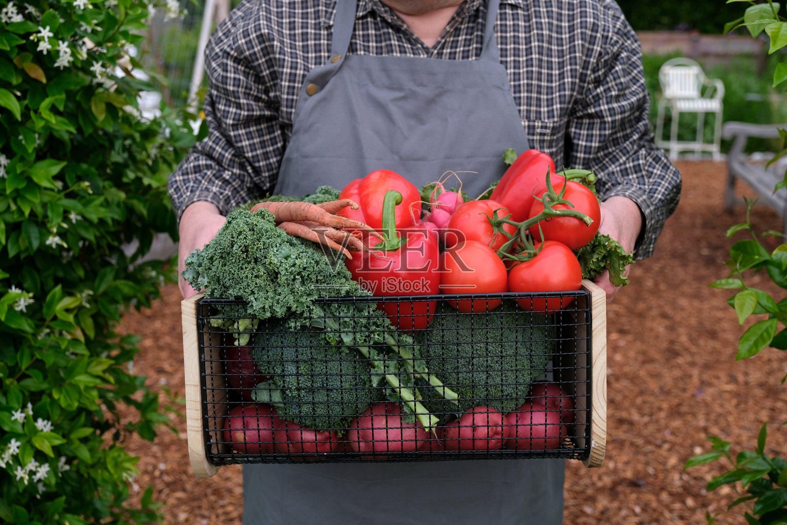 手拿着不同种类的蔬菜照片摄影图片
