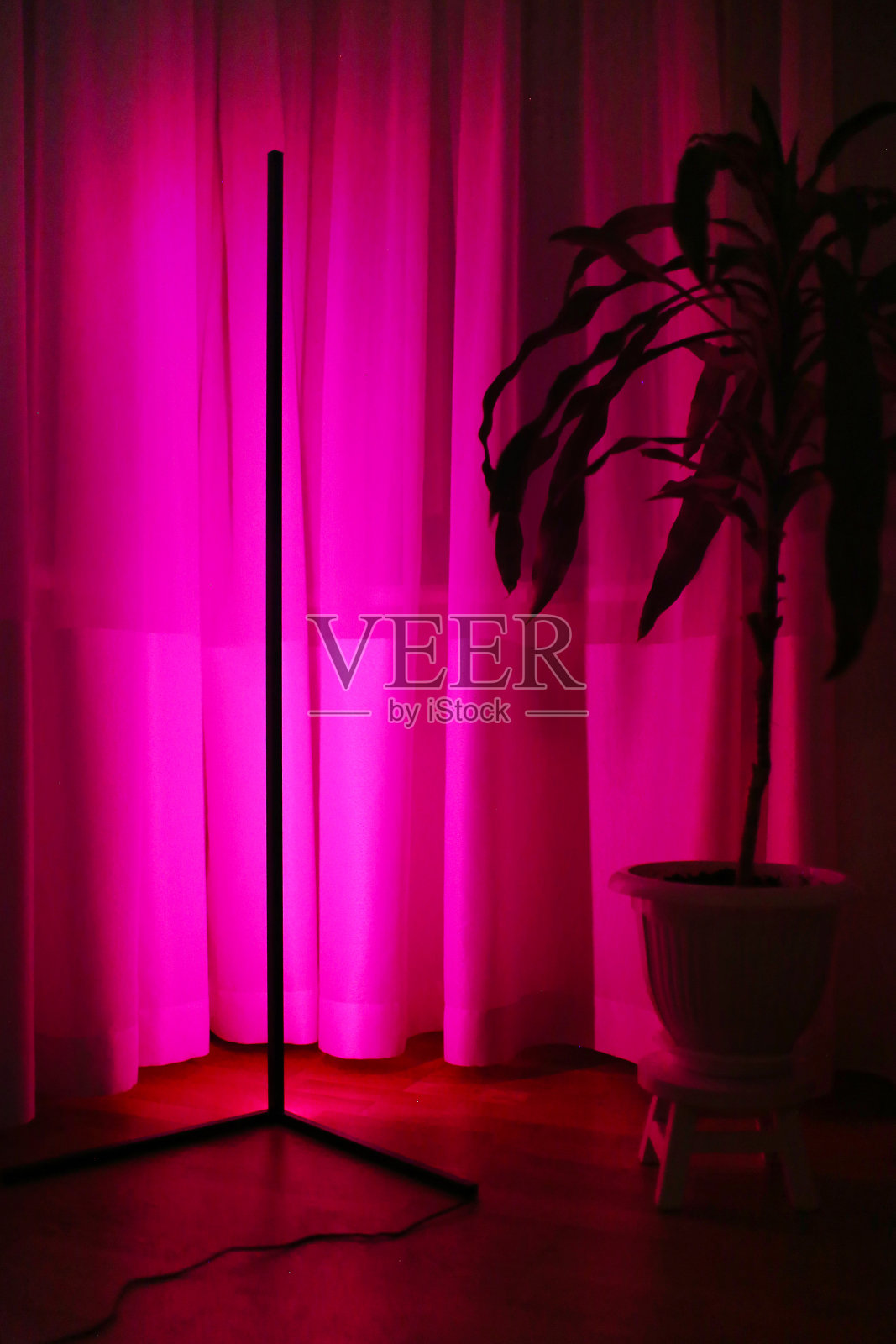 靠近花的粉红色霓虹灯。时尚的风格。照片摄影图片