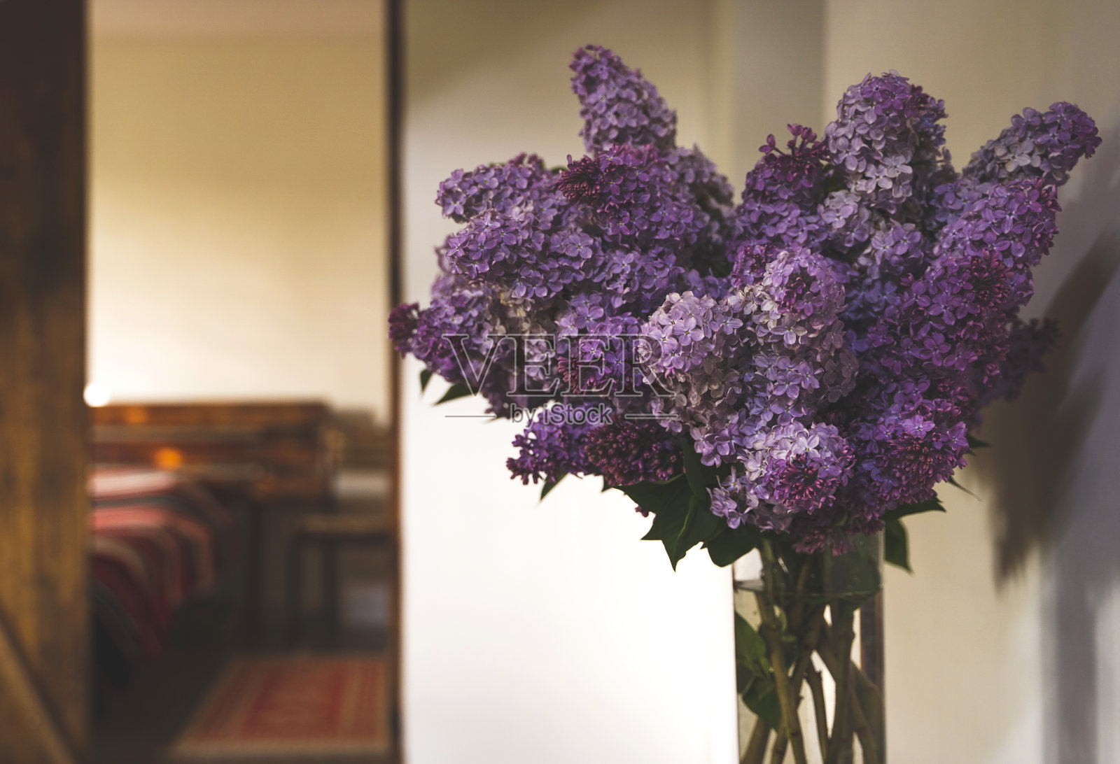 室内有一个透明的玻璃花瓶，里面有一束郁郁葱葱的丁香花束照片摄影图片