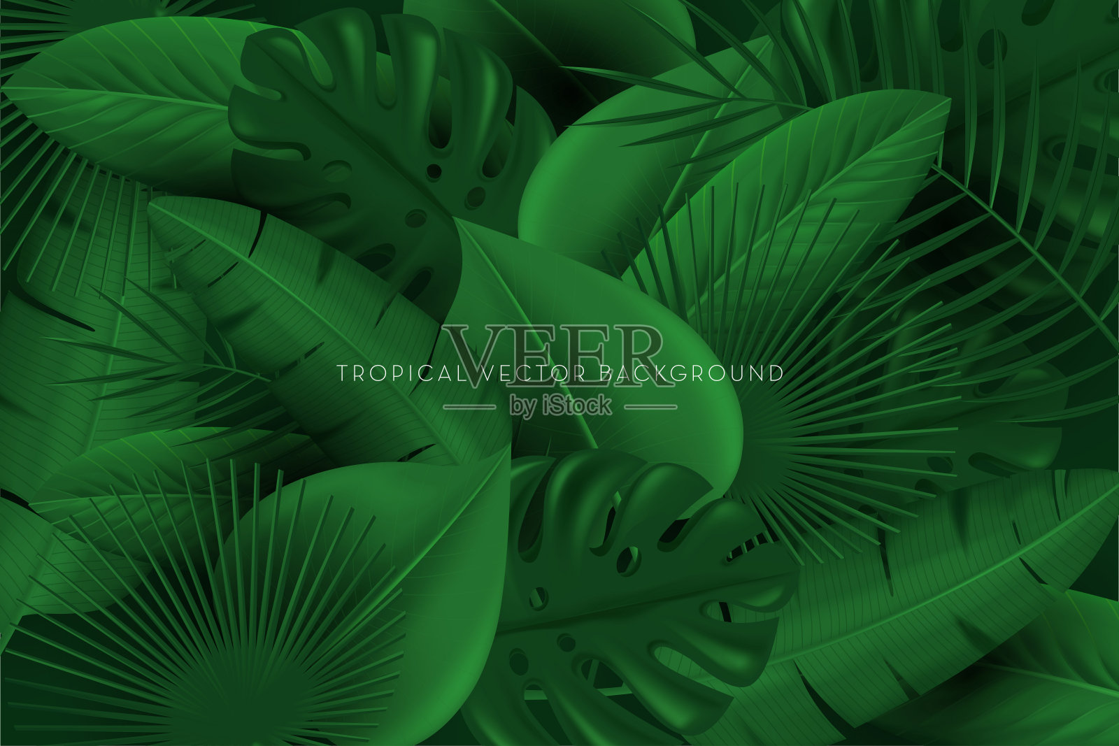 绿色热带矢量背景。三维矢量孤立图插画图片素材