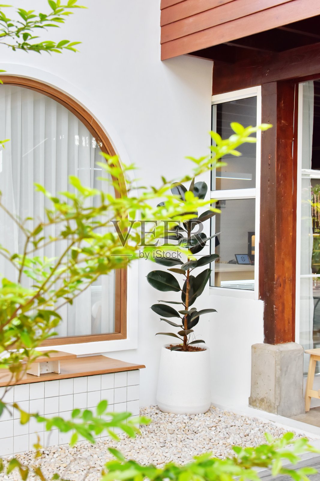 建筑外装饰树木照片摄影图片