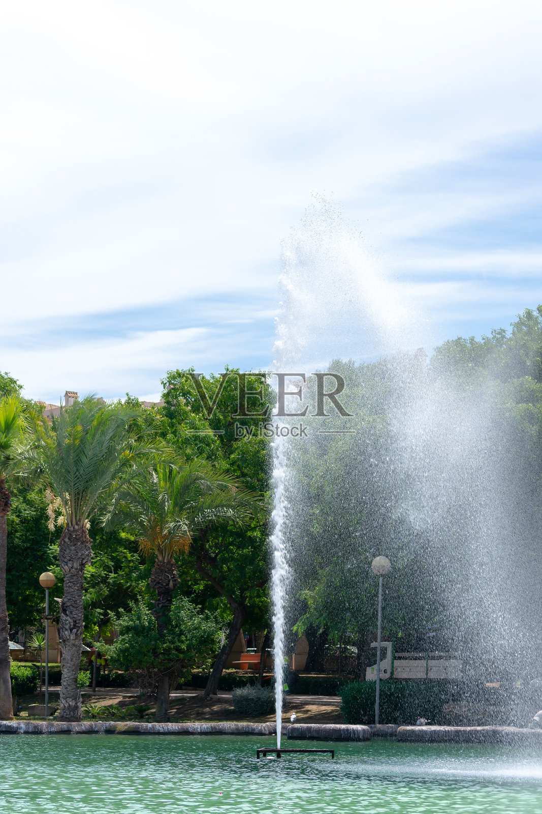 托雷维耶哈的国家公园花园。阿利坎特，在科斯塔布兰卡。西班牙欧洲。2021年7月15日照片摄影图片