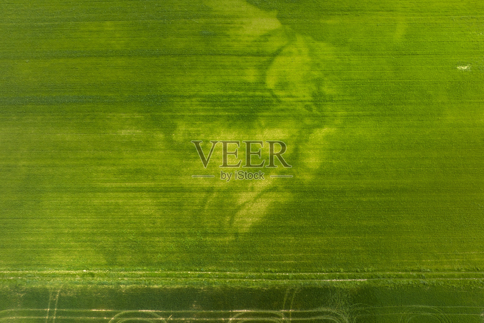 抽象的农田-从上面看照片摄影图片