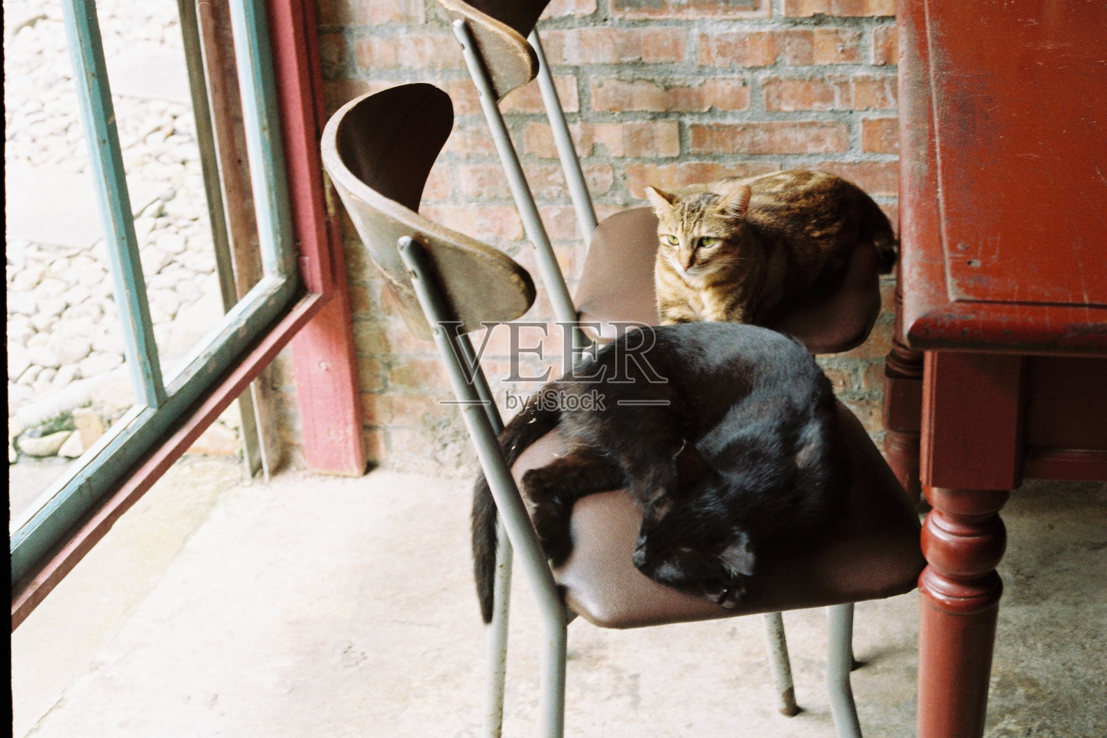 台湾之旅照片摄影图片