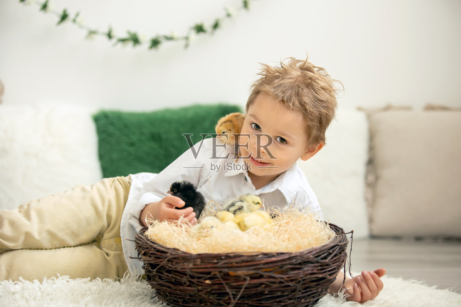 在家与新生小鸡玩耍的可爱儿童照片摄影图片