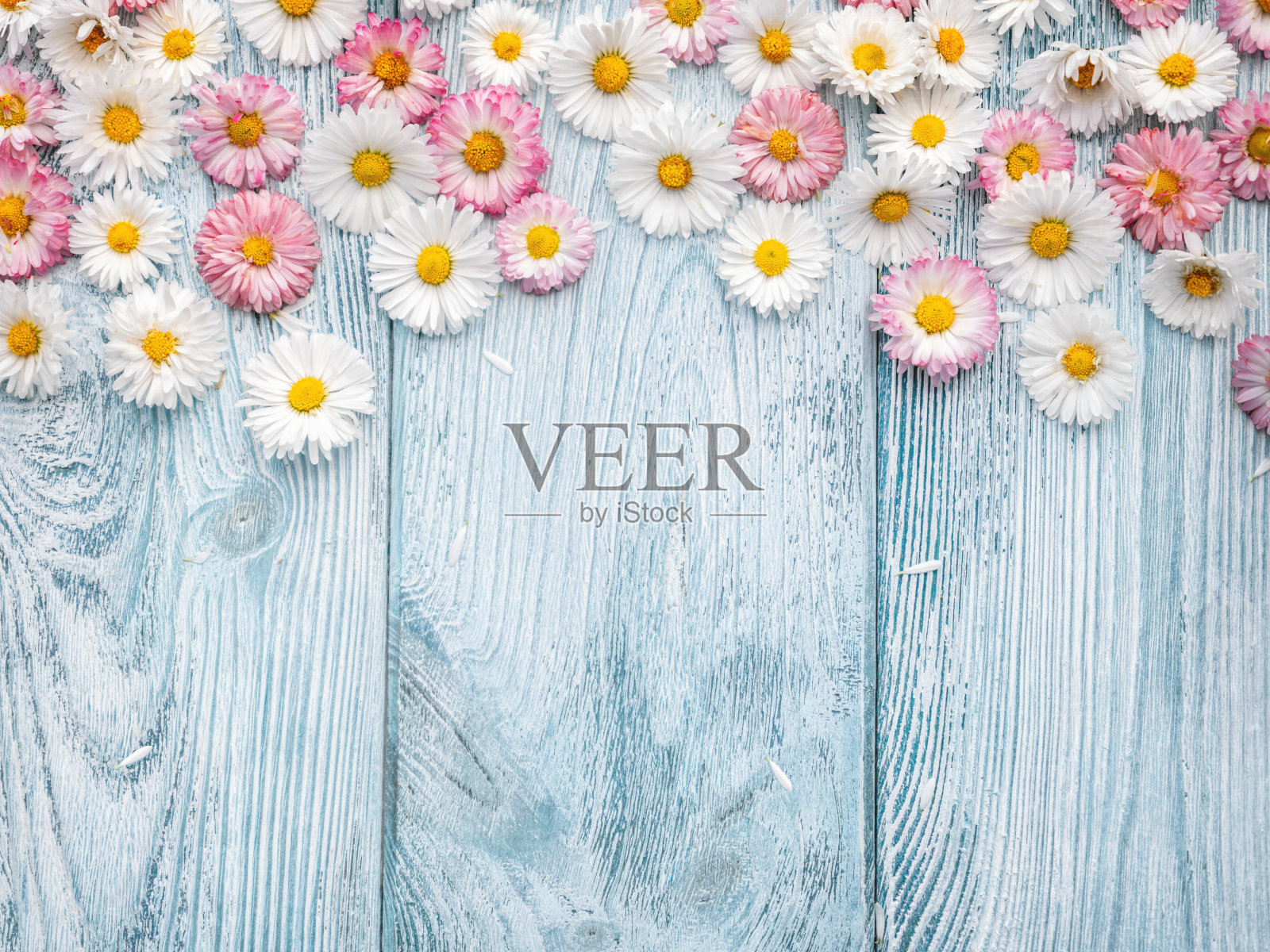 带有复制空间的春花背景照片摄影图片