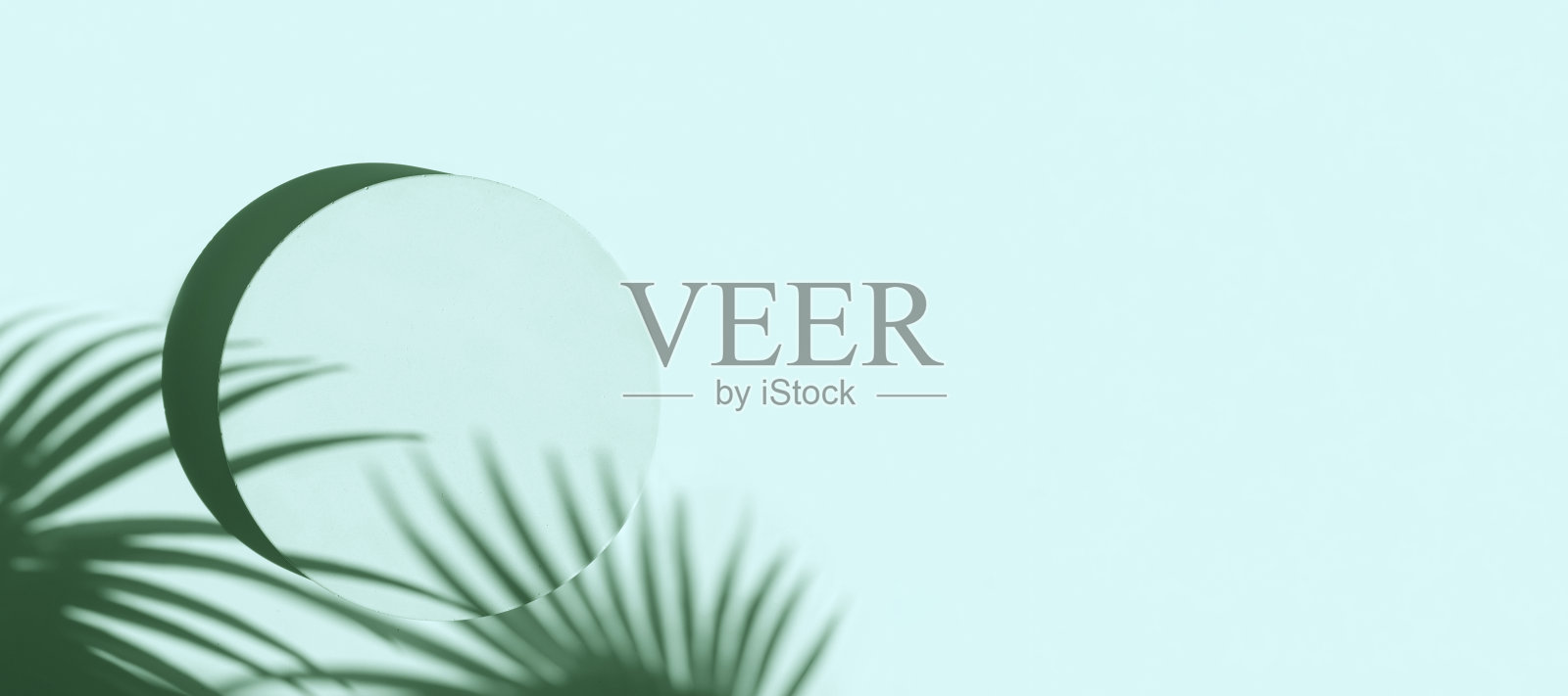 化妆品产品展示平台。抽象最小几何圆柱体。石球一形，棕榈叶影。现场展示。展示,显示情况。时尚的阳光。平面，俯视图，3D照片摄影图片