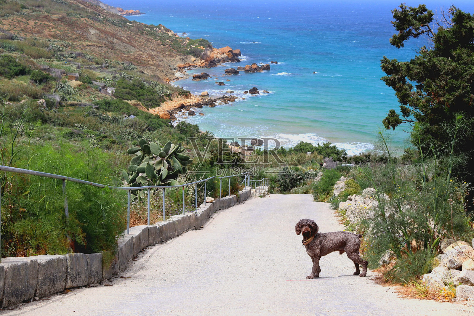 风景优美的视图照片摄影图片