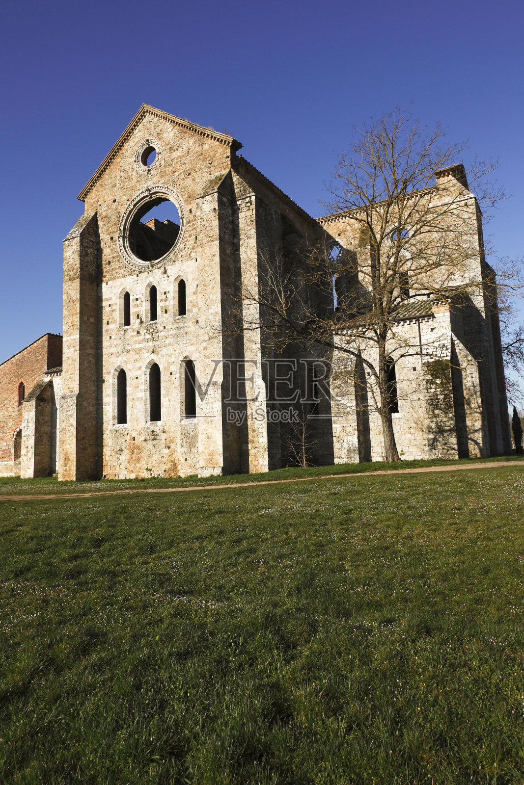 圣加尔加诺修道院。意大利托斯卡纳锡耶纳省照片摄影图片