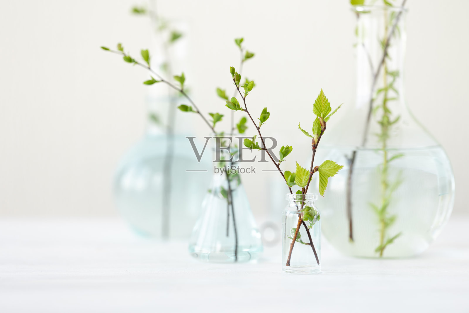 纯天然有机植物成分和美容水的概念。科学家在实验室做研究，测试。抗衰老、抗痘痘、护肤照片摄影图片