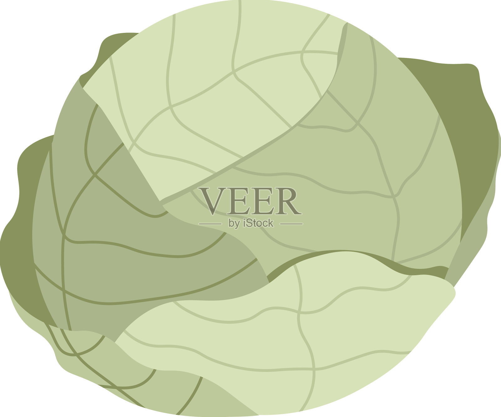 卷心菜健康有机产品蔬菜设计元素图片