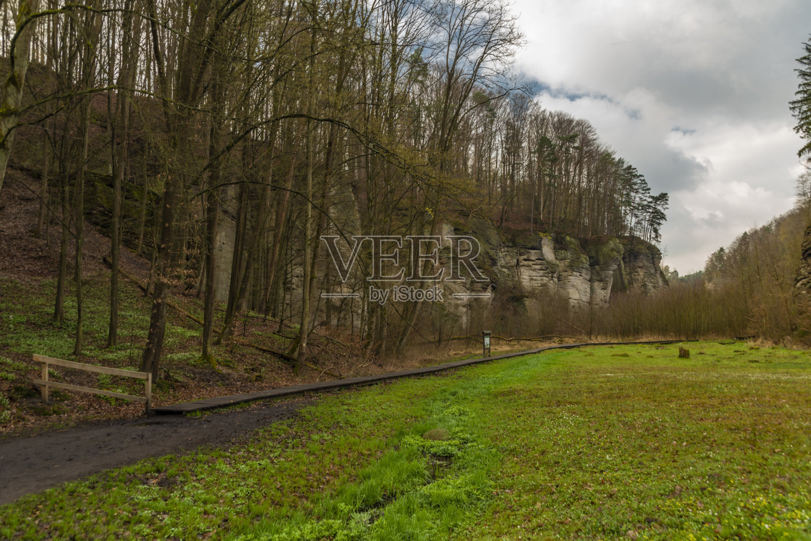 春天的早晨，普拉卡内克山谷里有新鲜的草地和沼泽照片摄影图片