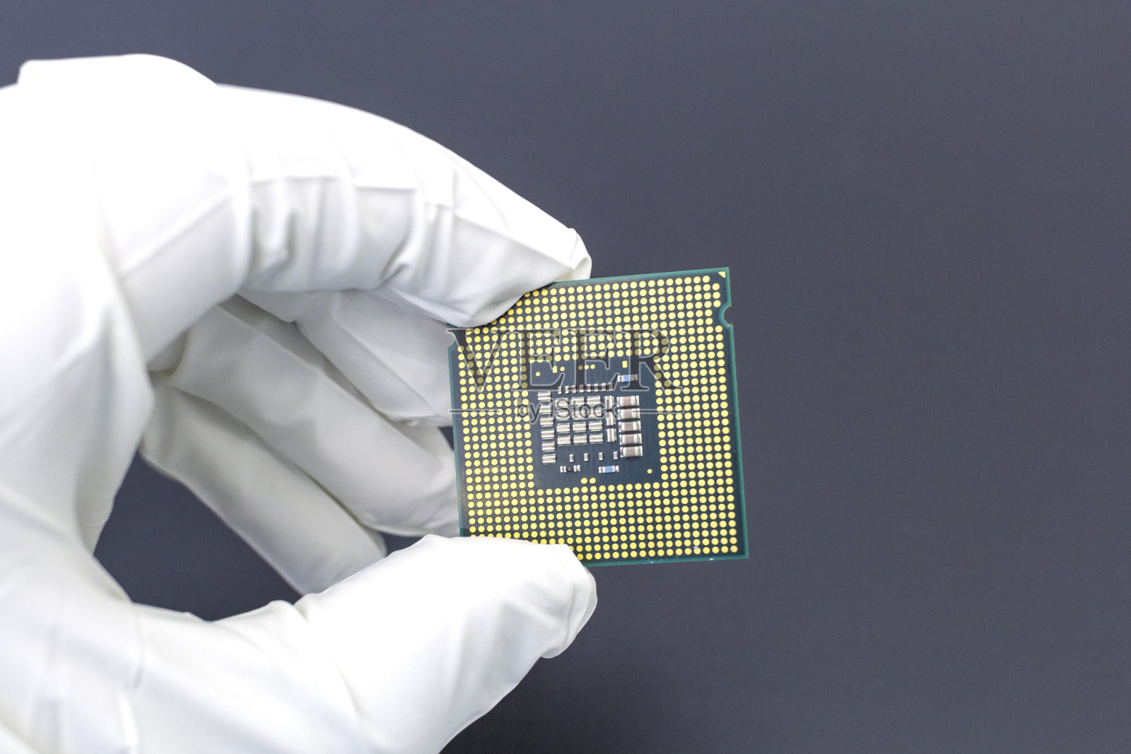 手戴白色手套，手持CPU计算机处理器微芯片。照片摄影图片