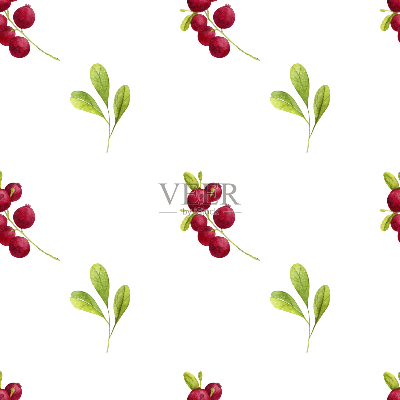 水彩无缝蔓越莓图案插画图片素材