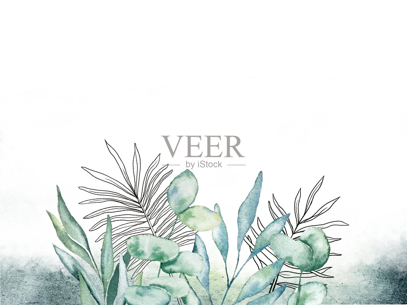 花叶水彩框架上的白色插画图片素材