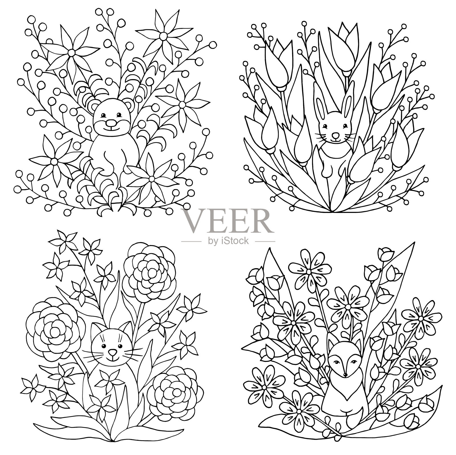 一套动物彩页插画图片素材