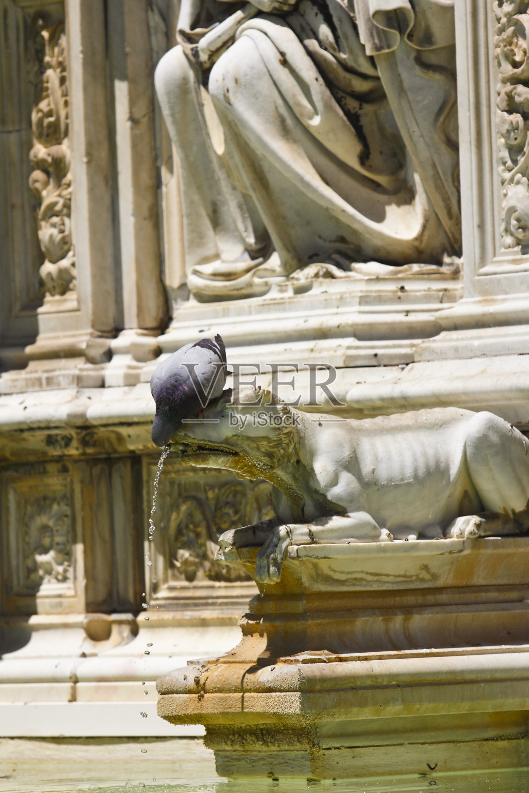 锡耶纳，坎波广场锡耶纳的纪念喷泉照片摄影图片