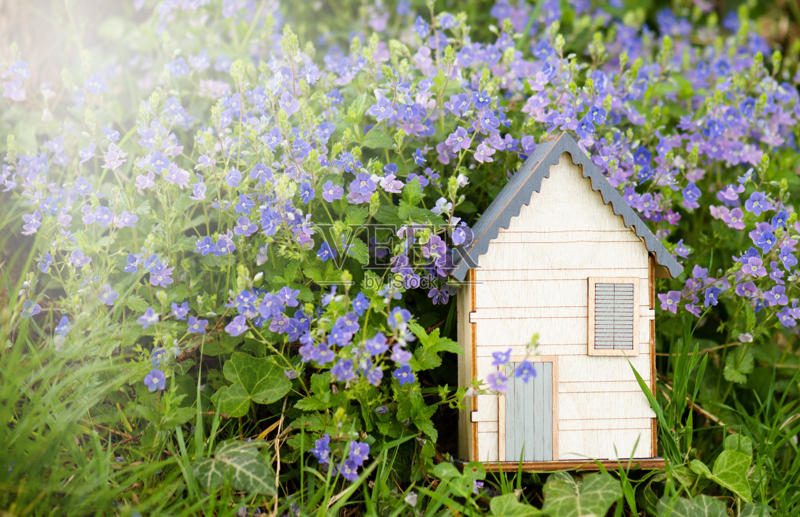 草地上的木屋，在自然中购买或租用房屋，房地产概念，预订度假的家，复制文本空间照片摄影图片