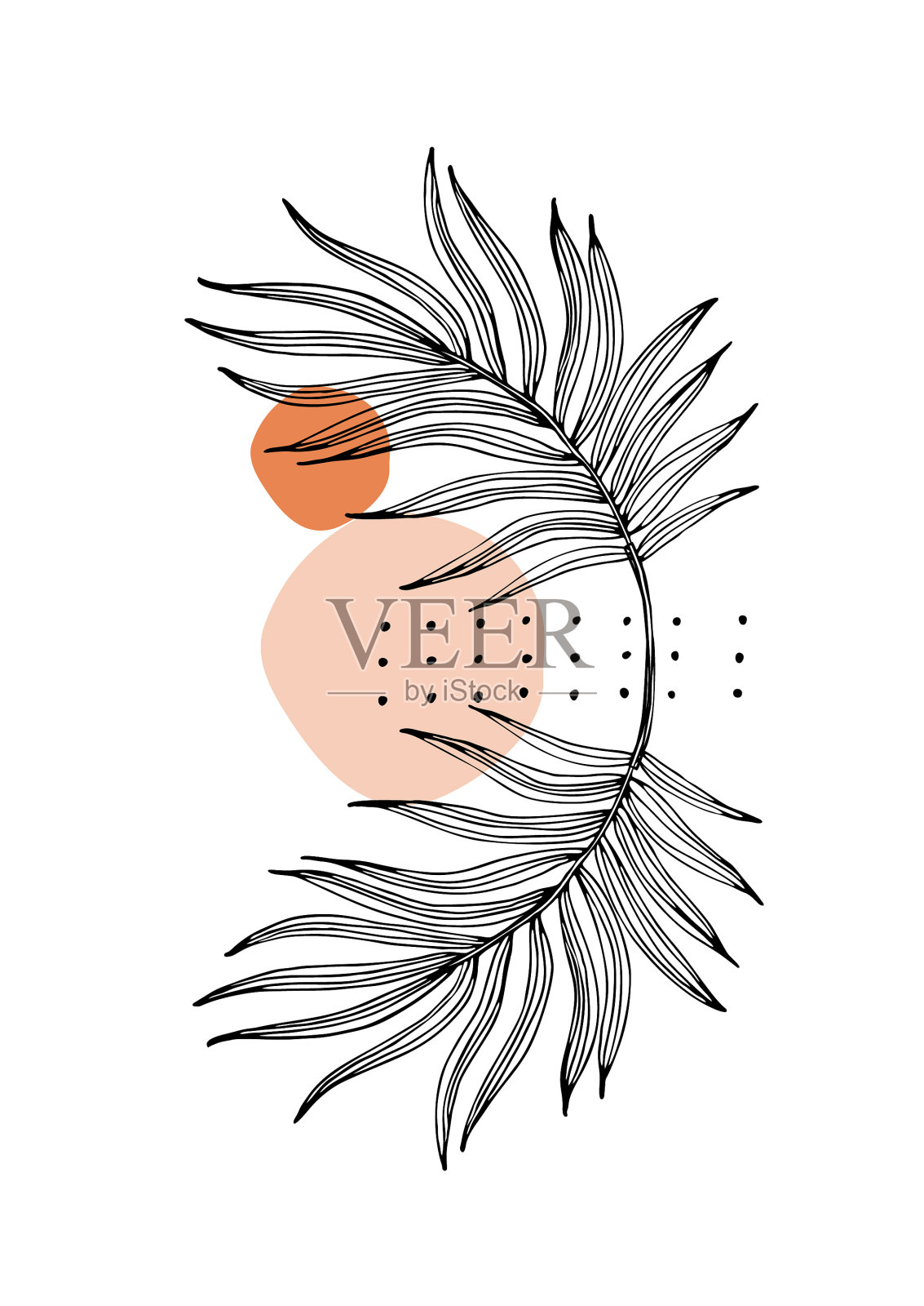 抽象几何形状热带叶线插画图片素材