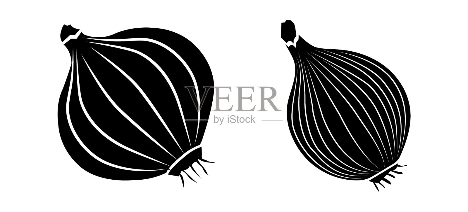 洋葱轮廓图标孤立的白色背景插画图片素材